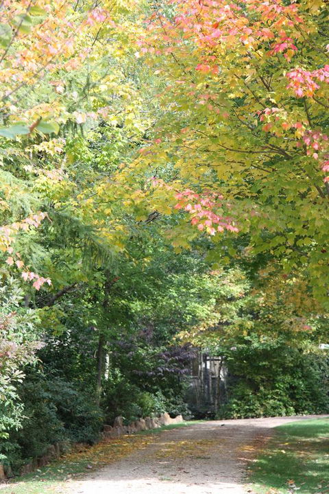 Shady Brook Cottages - Melbourne Tourism 14
