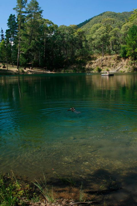 The Harrietville Snowline Hotel - Melbourne Tourism 38