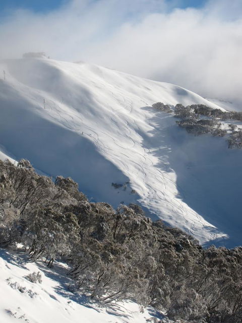 The Harrietville Snowline Hotel - Melbourne Tourism 29