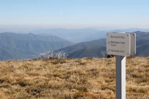 The Harrietville Snowline Hotel - Melbourne Tourism 31