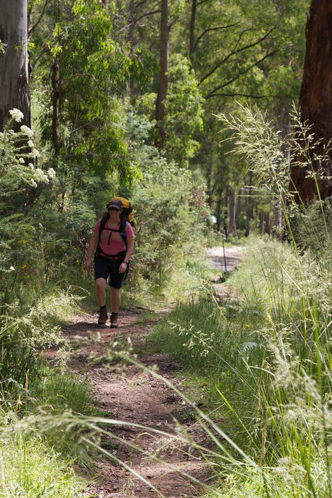 The Harrietville Snowline Hotel - Melbourne Tourism 11