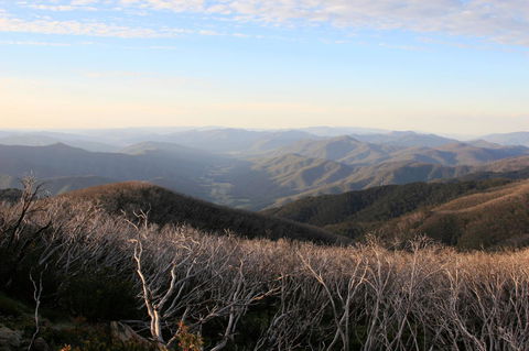 The Harrietville Snowline Hotel - Melbourne Tourism 36