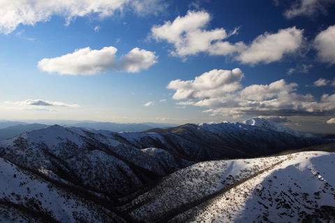 The Harrietville Snowline Hotel - Melbourne Tourism 9