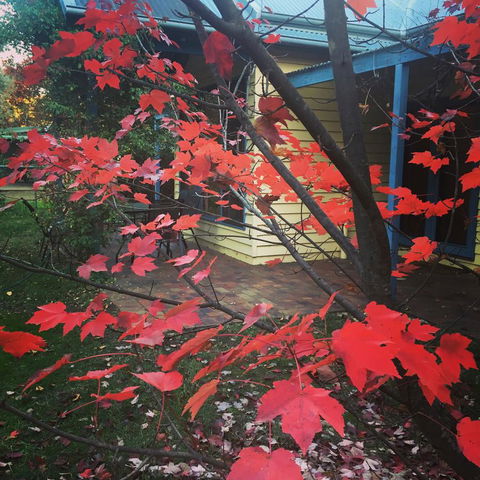 The Orchard House - Melbourne Tourism 27