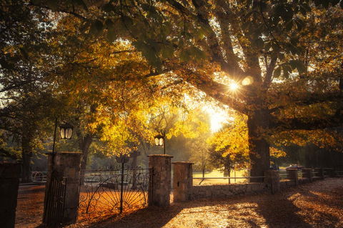 Goldfield Holiday Units - Melbourne Tourism 20
