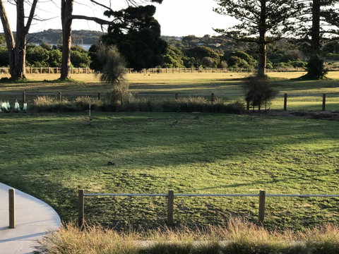 Bunya By The Sea - Melbourne Tourism 3