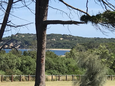 Bunya By The Sea - Melbourne Tourism 6