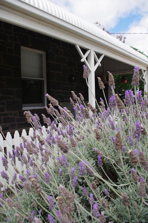 Little River Bed And Breakfast - Melbourne Tourism 30