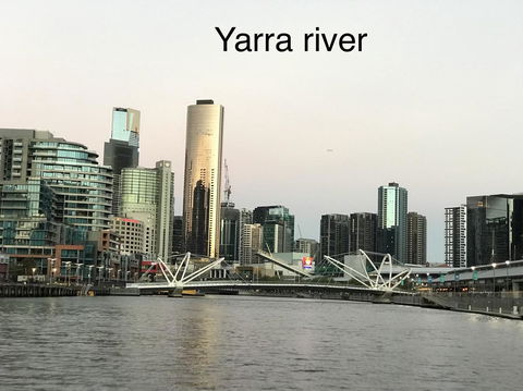 225 Melbourne Tower - Melbourne Tourism 9