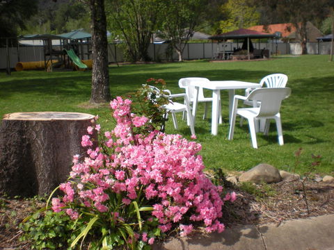 Willow Dene Holiday Apartments - Melbourne Tourism 24
