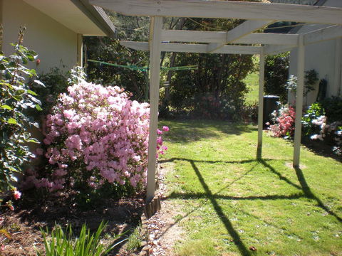 Willow Dene Holiday Apartments - Melbourne Tourism 25