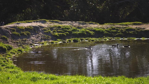 Limosa Rise - Melbourne Tourism 15