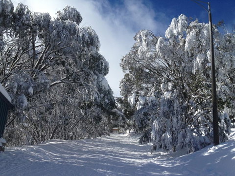 Maisonettes Falls Creek - Melbourne Tourism 17