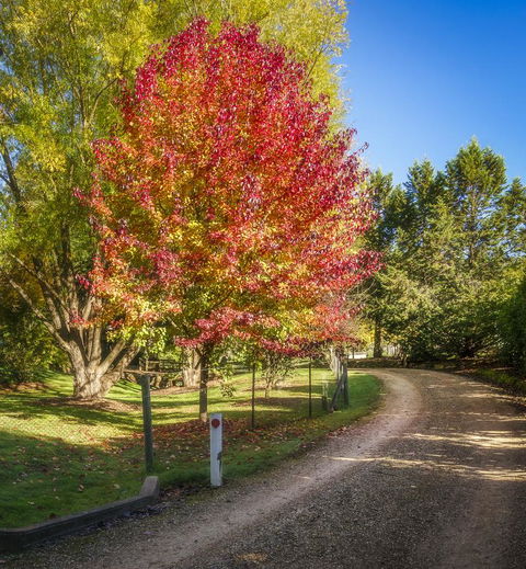 Bright Mystic Valley - Melbourne Tourism 23
