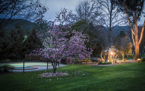 Bright Mystic Valley - Melbourne Tourism 26