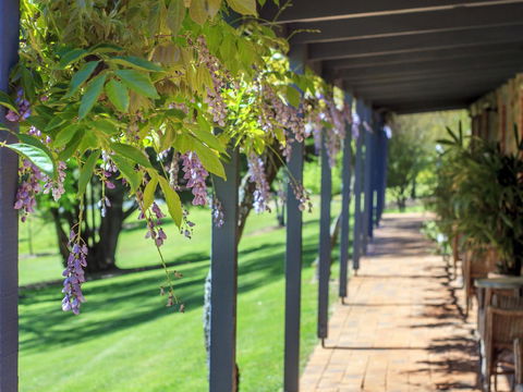 Bright Mystic Valley - Melbourne Tourism 22