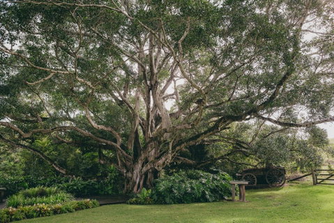 The Eumundi Dairy - Melbourne Tourism 2