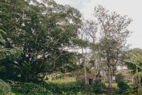 The Eumundi Dairy - Melbourne Tourism 1