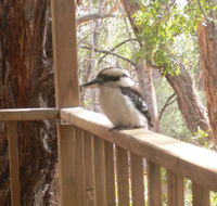 The Ledge Holiday House - Melbourne Tourism