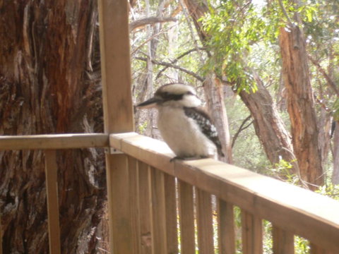 The Ledge Holiday House - Melbourne Tourism 0