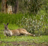 The Stirling Golf Club - Melbourne Tourism