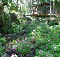 Treetops Montville - Melbourne Tourism