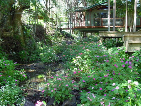 Treetops Montville - Melbourne Tourism 0