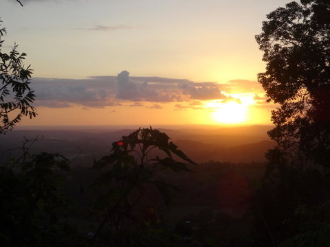 Treetops Montville - Melbourne Tourism 3