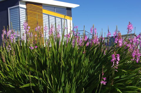 Watercolours - Melbourne Tourism 1