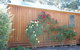 Bluegum Ridge Cottages - thumb 23