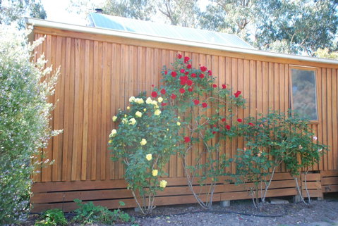 Bluegum Ridge Cottages - Melbourne Tourism 23