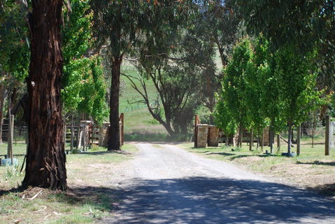 Bluegum Ridge Cottages - Melbourne Tourism 3