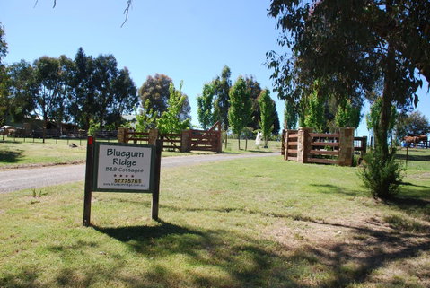 Bluegum Ridge Cottages - Melbourne Tourism 1