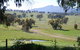 Bluegum Ridge Cottages - thumb 31