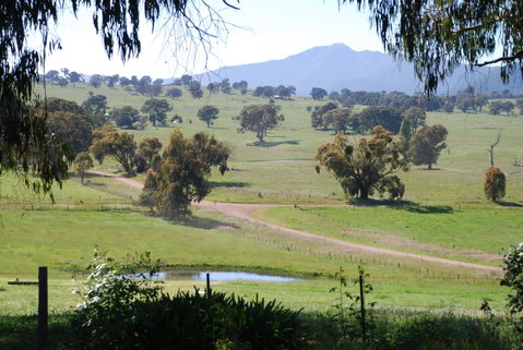 Bluegum Ridge Cottages - Melbourne Tourism 31