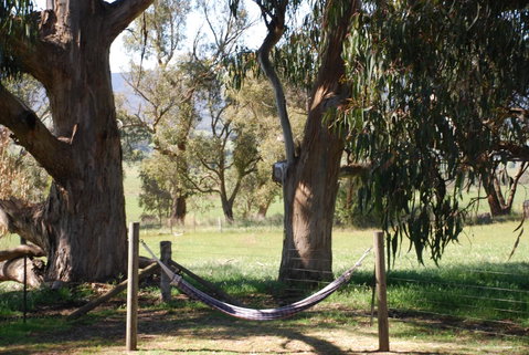 Bluegum Ridge Cottages - Melbourne Tourism 28