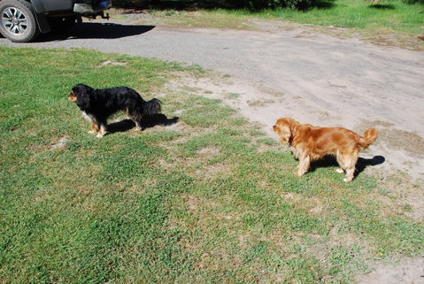 Bluegum Ridge Cottages - Melbourne Tourism 6