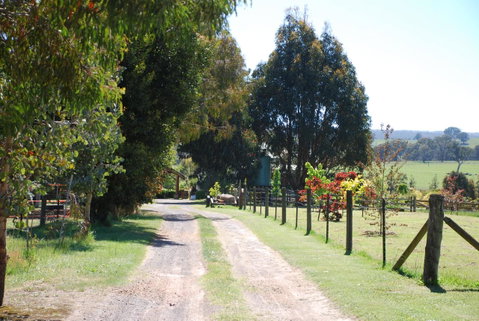 Bluegum Ridge Cottages - Melbourne Tourism 4