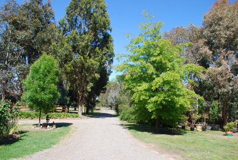 Bluegum Ridge Cottages - Melbourne Tourism 5