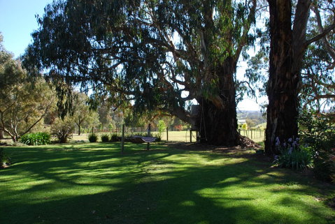 Bluegum Ridge Cottages - Melbourne Tourism 29