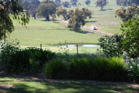 Bluegum Ridge Cottages - Melbourne Tourism 30