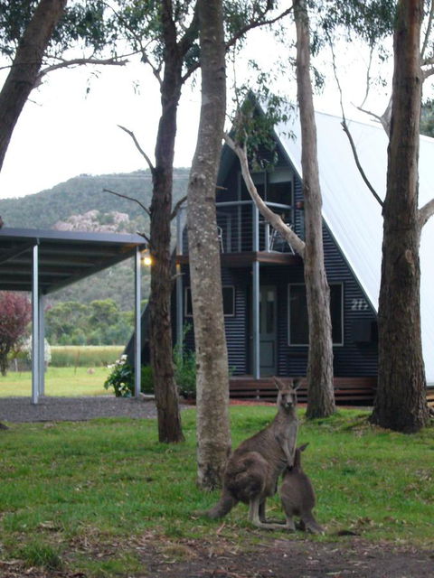 The A-Frame - Melbourne Tourism 1