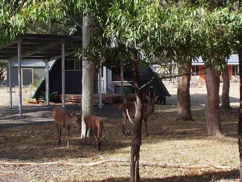 The A-Frame - Melbourne Tourism 13