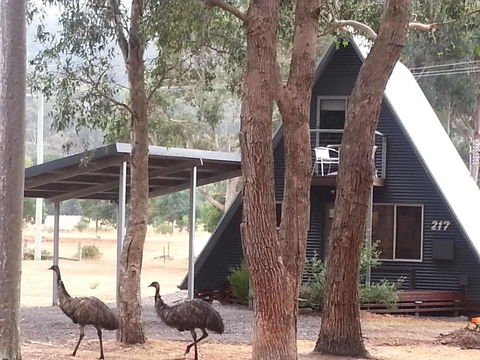 The A-Frame - Melbourne Tourism 9