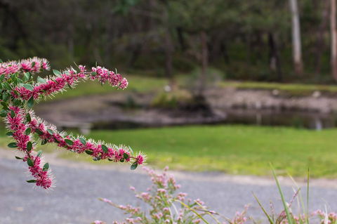 Marwood Villas - Melbourne Tourism 35
