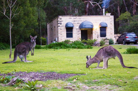 Marwood Villas - Melbourne Tourism 31