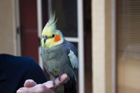 Marwood Villas - Melbourne Tourism 33