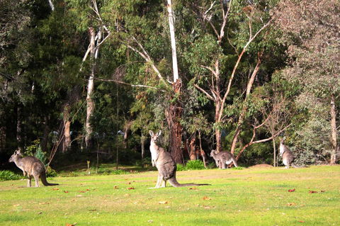 Marwood Villas - Melbourne Tourism 28