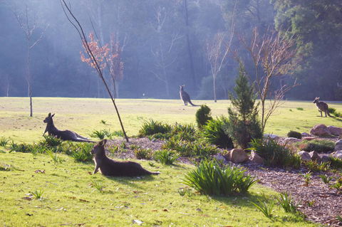 Marwood Villas - Melbourne Tourism 30