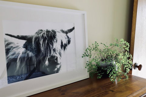 Red Ceder Cottage - Great Ocean Road - Port Campbell - Melbourne Tourism 5